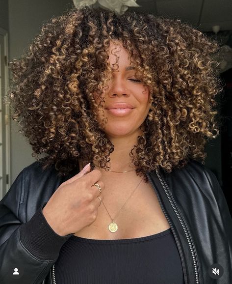 Afro With Blonde Highlights, Black With Blonde Highlights Curly Hair, Honey Brown Dyed Hair Black Women, 4a Hair With Highlights, Highlighted Natural Hair Black Women, Mixed Girl Highlights, Black Curly Hair With Highlights, Afro Highlights, Balayage On Black Hair