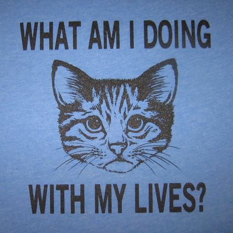 what am i doing with my lives t shirt tee funny cat top mens novelty new unisex graphic crazy animal What Am I Doing, Cat Crazy, Funny Tank Tops, Cat Photos, Animal Graphic, Cat Top, What Am I, Cat People, Cat Tee