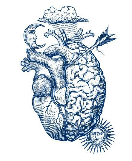 Spooky Drawing Ideas, Brain Vs Heart, Nothing Breaks Like A Heart, Counseling Room, Doctor Tattoo, Anatomical Art, Brain Anatomy, Brain And Heart, Anatomy Art