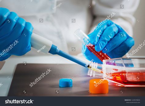 Biotechnology engineer inspecting cell culture flask #Ad , #SPONSORED, #inspecting#engineer#Biotechnology#flask Cell Culture Lab, Cell Culture, Cell Biology, Biotechnology, Line Icon, Icon Illustration, Biology, Flask, Royalty Free Stock Photos