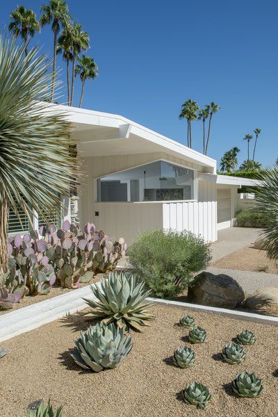 Photo 1 of 13 in A Palm Springs Alexander Home with Mountain Views Lists for $1.9M - Dwell Palm Springs Front Yard, Palm Springs Landscaping, Palm Springs Garden, Native Landscaping, Oasis Springs, Southwest Landscape, Wood Siding Exterior, Palm Springs Home, Central Courtyard