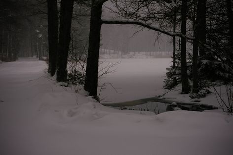 Snowy Path, Dark Paradise, Snowy Mountains, Winter Trees, Winter Aesthetic, The Villain, Winter Landscape, In The Woods, Cold Winter