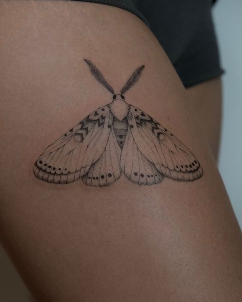 Moth fineline tattoo 🌙 1RL & 3RL | Instagram Miller Moth Tattoo, Isabella Tiger Moth Tattoo, Girly Moth Tattoo, Fineline Chest Tattoo, Moth Tattoo Minimalist, Fineline Moth Tattoo, Underboob Moth Tattoo, Moth Tattoo Fine Line, Silk Moth Tattoo