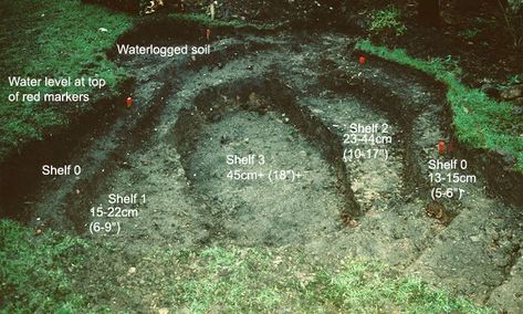 What shelf depths to build in your pond Natural Garden Pond Ideas, Garden Wildlife Pond, Wildlife Pond Ideas, Natural Pond Ideas, Garden Ponds Ideas, Digging A Pond, Ponds Ideas, Build A Pond, Natural Ponds