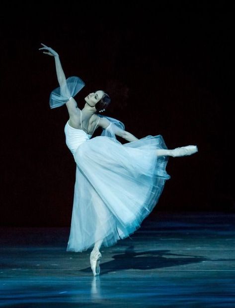 Giselle Ballet, Mariinsky Ballet, Ballet Giselle, Ballet Pictures, Ballet Aesthetic, Ballet Performances, Ballet Beauty, Ballet Poses, Ballet Inspiration