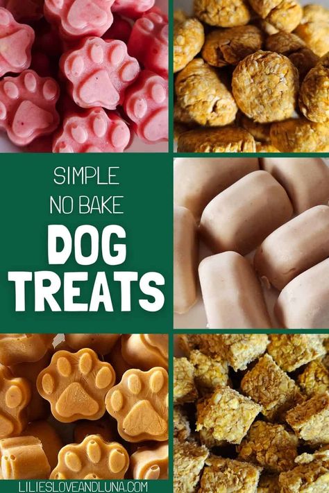 There are so many ways to make no bake dog treats. Our list of 10+ easy no bake dog treats offers tasty options for making a simple treat for your dog. Pin this now for inspiration on what treats to make for your dog. Dog Treats With Peanut Butter, Dog Treats Homemade Peanut Butter, Bake Dog Treats, Treats With Peanut Butter, Make Dog Treats, Pumpkin Ice Cream Recipe, No Bake Dog Treats, Frozen Dog Treats Homemade, Pumpkin Yogurt