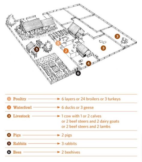 Layout of a half-acre homestead Homestead Layout Design, Pizza Farm Layout, 2acre Farm Layout, Homestead Building Layout, Three Acre Homestead Layout, 6 Acres Layout, Family Farm Layout, 5acre Homestead Layout, 100 Acre Farm Layout