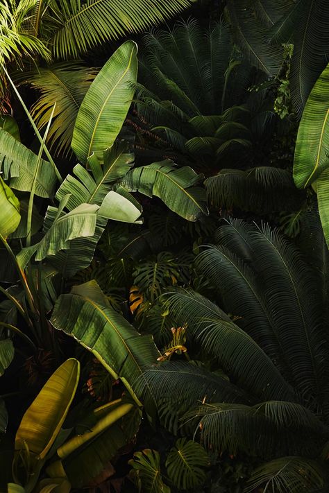 Plant Aesthetic, Tropical Rainforest, Nature Aesthetic, Lush Green, Green Aesthetic, Tropical Plants, Botany, Costa Rica, Sake