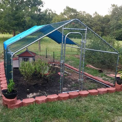 Holden Metal Walk-in Chicken Coop/Chicken Run with Waterproof Cover Chicken Coop Fox Proof, Building Chicken Coop, Chicken Coop Ideas, Goat Pen, Walk In Chicken Coop, Raising Quail, Duck Coop, Backyard Chicken Coop Plans, Diy Chicken Coop Plans