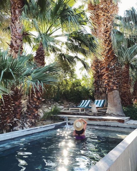 Best November Vacations, Palm Springs Spa, Palm Springs Resorts, Palm Springs Hotel, Pacific Coast Road Trip, Palm Springs Hotels, Spa Weekend, Palm Spring, Palm Springs California