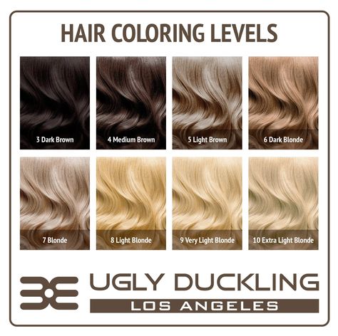 Level 7 Hair Color Ash, Level 7 Hair Color Blonde, Hair Level Chart, Level 5 Hair Color, Blonde Hair Levels, Level 6 Hair Color, Level 7 Hair Color, Bleach Hair Color, Blonde Hair Color Chart