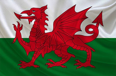 Celtic Signs, Great Britain Flag, Grungy Style, Wales Flag, Welsh Flag, Flag Painting, England Flag, National Symbols, Flag Photo