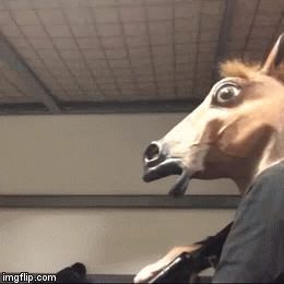 Horse Mask, League Of Legends Memes, Funny Dog Memes, Funny Horse, Better Day, Dog Memes, Meme Pictures, New Memes, Overwatch