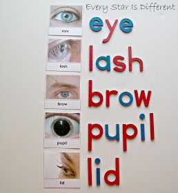 Eye Lesson, Doctor Craft, Senses Preschool, Free Printables For Kids, Body Preschool, Eye Study, Senses Activities, Preschool Classroom Decor, Sunday School Crafts For Kids