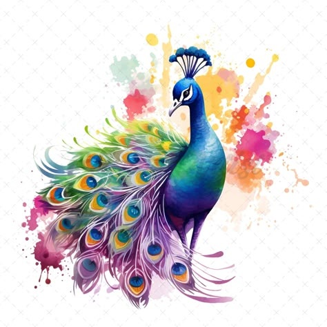 "20 High-Quality Rainbow Peacock Clipart - Peacock digital watercolor JPG instant download for commercial use - Digital download This set includes: * 20 individual files (JPG files, 5-6 inch, 2000px x 2000px) License: When you acquire products from ClipartArtist, you are consenting to our terms of use, which grant you the freedom to utilize them for both personal and commercial purposes. Welcome to the world of artistry and inspiration, where creativity knows no bounds. Our \"Watercolor Clipart\ Peacock Clipart, Peacock Watercolor, Rainbow Peacock, Watercolor Peacock, Peacock Drawing, Watercolor Branding, Monkey Tattoos, Picture Stand, Digital Elements