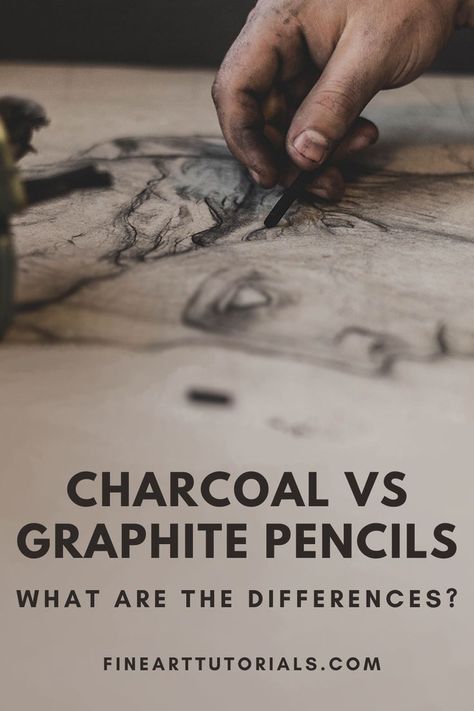 Graphite Nature Drawings, Graphite Vs Charcoal, Charcoal And Graphite Drawings, Carbon Pencil Drawing, Vine Charcoal Drawings, Charcoal Pencil Sketches For Beginners, Charcoal Drawing Tips, Beginner Charcoal Drawing, Drawing With Charcoal Pencils