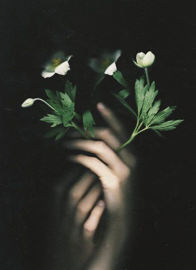 Hand Photography, Portrait Photography Women, Midnight Garden, Night Garden, Holding Flowers, Magazine Photography, Anemone, Botanical Illustration, Female Portrait