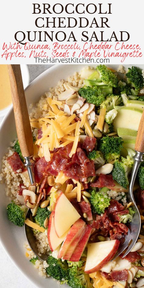 This Broccoli Cheddar Quinoa Salad recipe is a delicious mix of quinoa, broccoli, cheddar cheese, apples, nuts and seeds, and its all tossed in a deliciously addictive maple vinaigrette. Broccoli Cheddar Quinoa, Broccoli Quinoa Salad, Quinoa Salad Dressing, Cheese Apples, Southwest Quinoa Salad, Broccoli Quinoa, Green Bean Salad Recipes, Quinoa Broccoli, Apple Cheddar