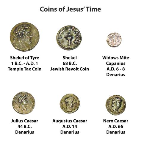 What is a denarius, a shekel, a stater and a widow's mite? Widows Mite Craft, The Widows Mite, Kids Craft Work, Jesus Miracles, Widows Mite, Bible Questions, Bible Dictionary, Easter Week, The Gospels