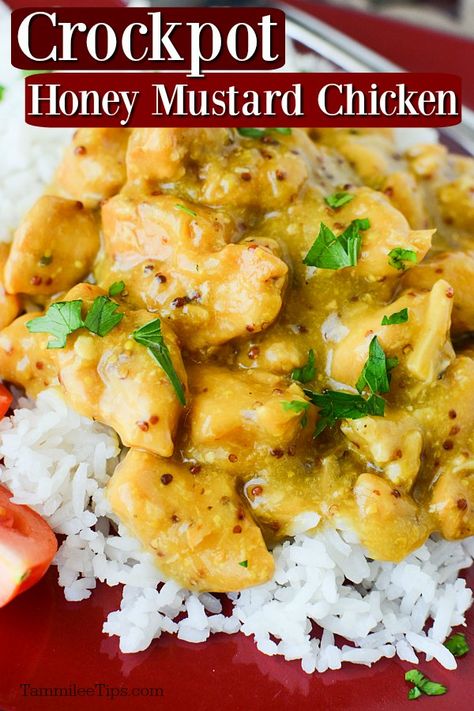 Honey Dijon Chicken Crockpot, Dijon Mustard Chicken Crockpot, Ww Chicken Crockpot Recipes Easy, Chicken Dump And Go Crockpot, Crockpot Mustard Chicken, Crock Pot Honey Mustard Chicken, Easy Chicken Crockpot Recipes Healthy 3 Ingredients, Easy Slow Cooker Meals 3 Ingredients, Honey Mustard Crockpot Chicken