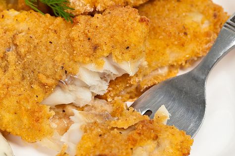 Old-Fashioned Fried Fish Recipe: It's Time for a Fish Fry #30secondmom Baked Tilapia Fillets, Fried Catfish Recipes, Baked Catfish, Fried Fish Recipe, Blue Catfish, Catfish Recipes, Baked Tilapia, Fried Catfish, Fried Fish Recipes