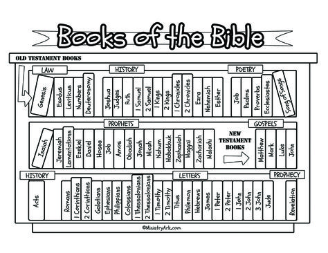 This books of the bible bookcase printable is perfect for teaching your children the books of the bible in the right order. Toddler Bible, The Books Of The Bible, Bible Worksheets, New Testament Books, Bible Resources, Bible Printables, Bible Study For Kids, Bible Coloring Pages, Bible Time