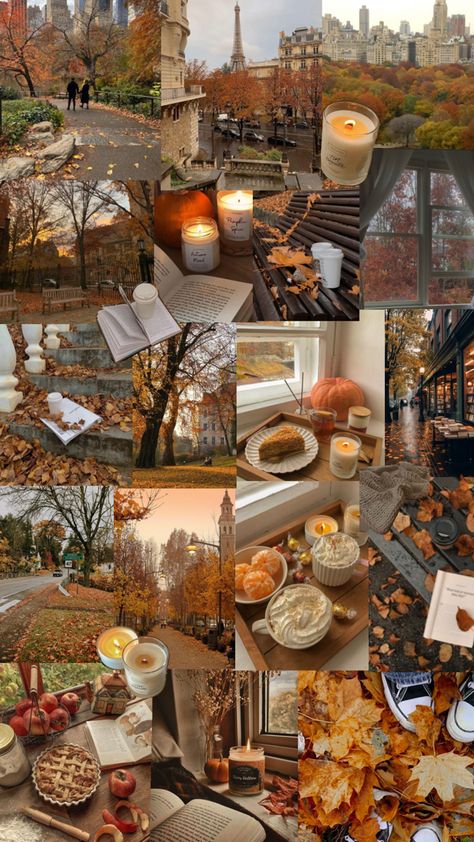 Atum Aesthetic, Halloween Wallpaper Cute, Fall Mood Board, Fun Fall Activities, New England Fall, Pumpkin Spice Season, Fall Drinks, Fall Inspo, Fall Feels