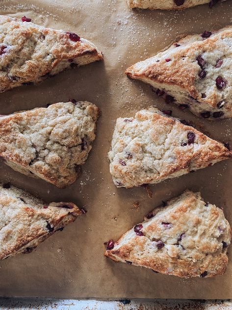 Pomegranate Scones — Kaylee Stevie Scone Recipe, Pomegranate Seeds, Winter Months, Fall And Winter, Scones, Our Home, Pomegranate, Baked Goods, Baking Powder