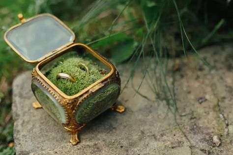 Fantasy Ring Boxes, Ring Box For Wedding Ceremony, Glass Ring Box Wedding, Woodland Wedding Rings, Ring Holders Wedding, Unique Ring Box Ideas, Unique Ring Boxes, Cute Ring Boxes, Engagement Ring Boxes Unique