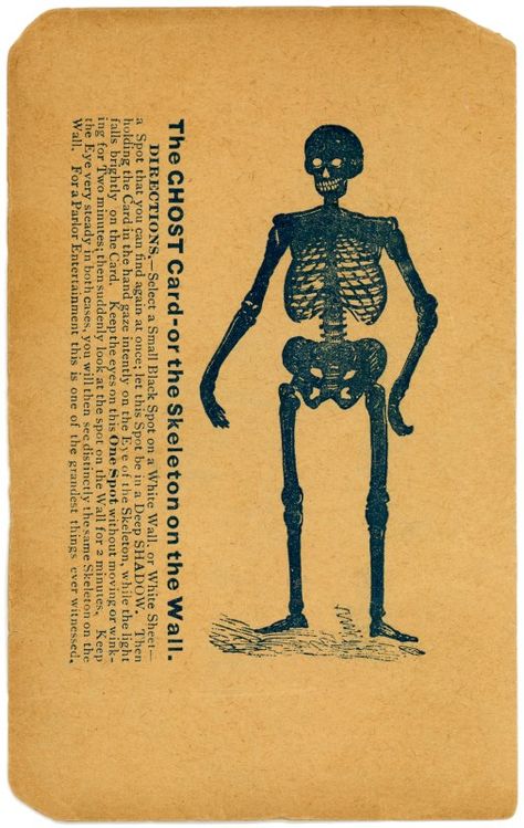 The Ghost Card, or the Skeleton on the Wall (Rotated) | Flickr Medieval Marginalia, Drawing Concepts, Ghost Drawing, Skeleton Drawings, Skeleton Illustration, The Skeleton, Demon Art, Propaganda Posters, Greek Art