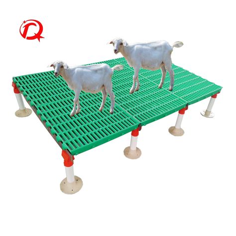 Goat farm equipment Plastic goat flooring PP material goat slat floor for sale https://m.alibaba.com/product/1600253271699/Goat-farm-equipment-Plastic-goat-flooring.html?__sceneInfo={"cacheTime":"1800000","type":"appDetailShare"} Goat Housing, Goats For Sale, Goat Pen, Backyard Barn, Goat House, Farm Shed, Goat Farm, 4k Wallpaper For Mobile, Banana Plants