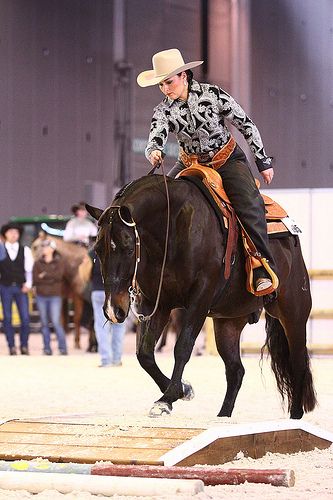 Horse Training Ground Work, Gamora Marvel, Trail Riding Horses, Horses Western, Western Pleasure Horses, Western Trail, Western Horses, Barrel Racing Saddles, Reining Horses