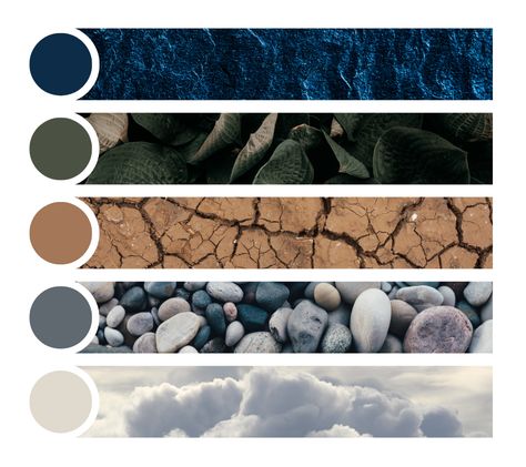 Nature-Inspired Colour Palettes to Inspire Your Next Project Brown Color Palette Living Room, Blue Green Brown Color Palette, Green Brown Color Palette, Palette Living Room, Color Palette Living Room, Brown Color Palette, Blue Home Decor, Forest Nature, Blue Home