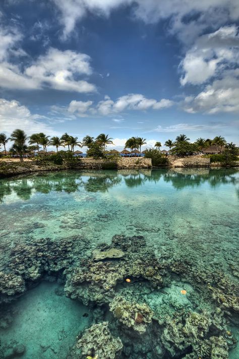 Chankanaab Lagoon ~ Cozumel, Mexico Cozumel Mexico, Cozumel, Incredible Places, Vacation Places, Mexico Travel, Bahamas, Pretty Places, Places Around The World, Vacation Destinations