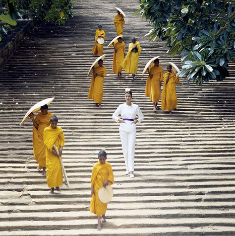 Norman Parkinson, Town And Country Magazine, Portraits Inspiration, Perspective View, Fashion Photography Inspiration, Artist Style, Town And Country, Image Photography, Vintage Photography