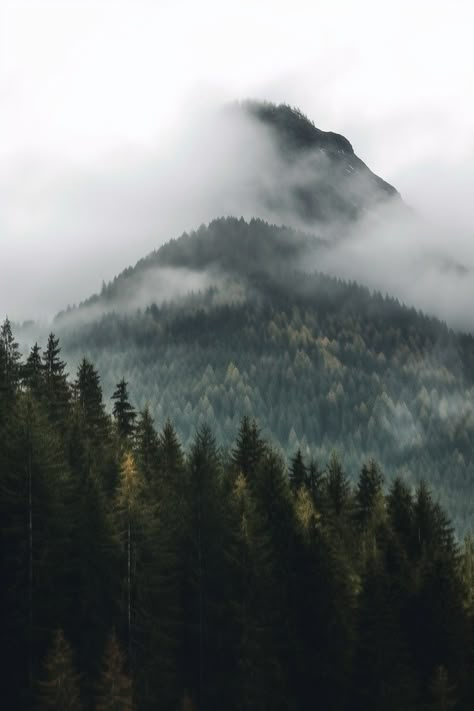 Cloudy Mountain Aesthetic, Misty Mountain Aesthetic, Snowy Pine Forest, Misty Mountains Aesthetic, Foggy Lake Aesthetic, Dense Forest Aesthetic, Snowy Forest Aesthetic, Evergreen Mountains, Foggy Forest Aesthetic