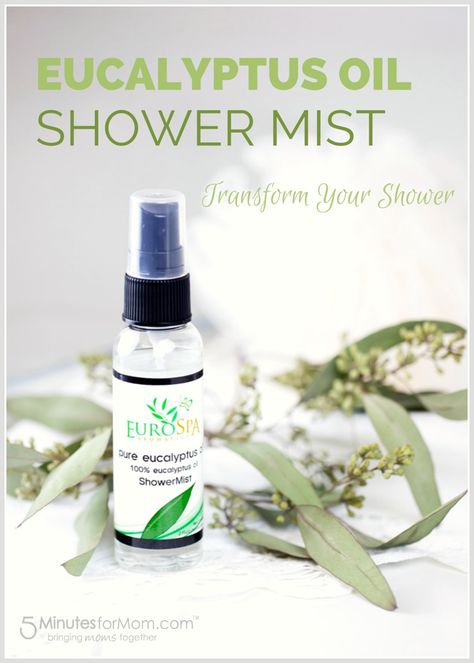 How to Transform Your Daily Shower into a Eucalyptus Spa Experience Clear Sinuses, Spa Essential Oils, Steam Room Shower, Temple Spa, Shower Aromatherapy, Organic Spa, Shower Spray, Spa Days, Diy Sprays