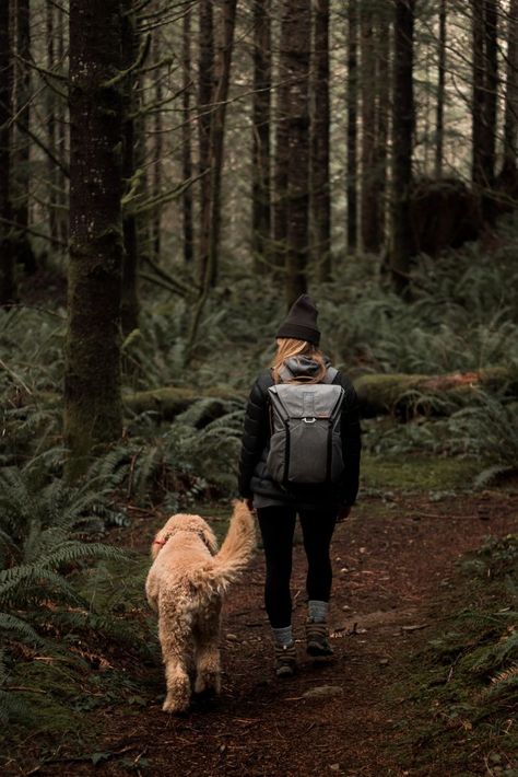 Hiking Photography, Door Entrance, Hiking Dogs, Farmhouse Front, Adventure Aesthetic, Entrance Design, Dog Adventure, Wild Adventures, Adventure Wedding