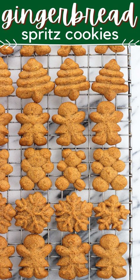 Gingerbread Cookie Press Cookies, Soft Spritz Cookie Recipe, Ginger Spritz Cookies, Christmas Baking Cookies Holidays, Spritz Cookies Flavors, Pressed Cookies Recipe Holidays, Gingerbread Spritz Cookie Recipe, Spritz Cookie Decorating Ideas, Gingerbread Spritz Cookies