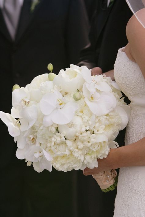 White Orchid Bouquet, Peony Bridal Bouquet, Orchid Bouquet Wedding, Brides Flowers Bouquet, White Peonies Bouquet, Simple Wedding Bouquets, Bridal Bouquet Peonies, Bouquet Photography, Peony Bouquet Wedding