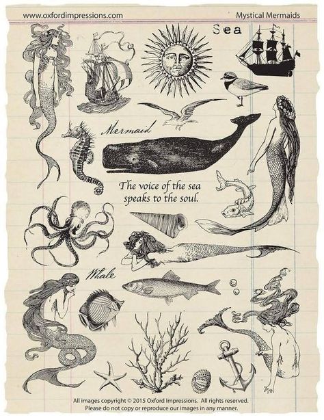 Ide Scrapbook, Kunst Tattoos, Mermaid Tattoo, Desenho Tattoo, Stamp Collection, Art Et Illustration, Trendy Tattoos, Arte Animal, Old Book