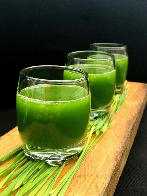 Wheat Grass Shots Recipe, Wheatgrass Juice Recipe, Wheat Grass Recipes, Wheat Grass Juice, Microgreen Recipes, Aip Drinks, Wheatgrass Smoothie, Wheatgrass Juice, Microgreens Recipe