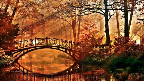 Autumn Fall Cover Photos, Fall Desktop Backgrounds, Autumn Bridge, Fall Background Wallpaper, Bridge Wallpaper, Autumn Leaves Wallpaper, Haha Photos, Autumn Background, Autumn Lake