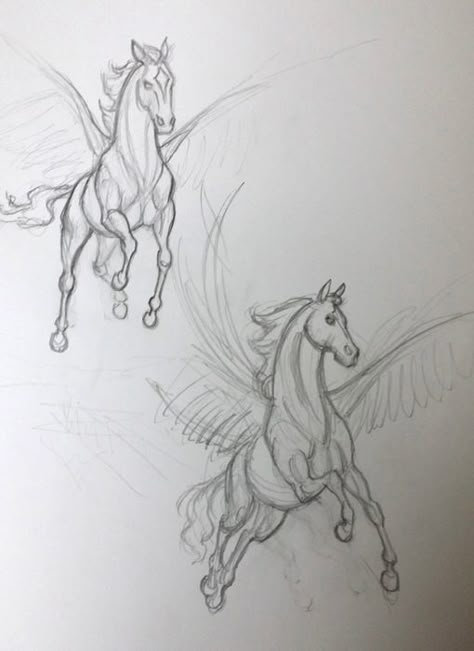 Pegasus drawing How To Draw Pegasus, Pegasus Reference Drawing, Pegasus Art Drawing, Pegasus Reference, Pegasus Sketch, Pegasus Drawing, Pegasus Art, Horse Sketch, Dragon Sketch