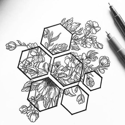 geometric-design-honeycomb-shapes-flowers-black-and-white-pencil-sketch-step-by-step-drawing Hur Man Ritar Blommor, Plant Tattoos, Kunst Tattoos, Graffiti Tattoo, Men Tattoos, Drawing Eyes, Plant Tattoo, Butterfly Tattoos, Drawing Faces