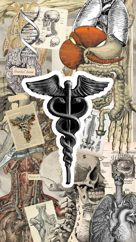 #humananatomy #anatomy #scientist #medecine #books #art #humanbody #studying Cute Medical Wallpaper, Scientist Aesthetic Wallpaper, Health Science Aesthetic, Anatomy Aesthetic Wallpaper, Medicine Wallpaper Aesthetic, Medical Art Creative, Anatomy Collage, Medicine Wallpaper, Scientist Aesthetic