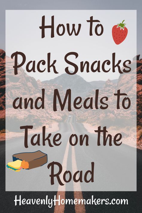 Roadtrip Snack Organization, Road Trip Foods For Adults, On The Road Lunch Ideas, Homemade Snacks For Traveling, Packing Snacks For Road Trip, Healthy Travel Snacks The Road, Road Trip Snack Organization, Team Meals On The Road, Snacks For Side By Side Ride