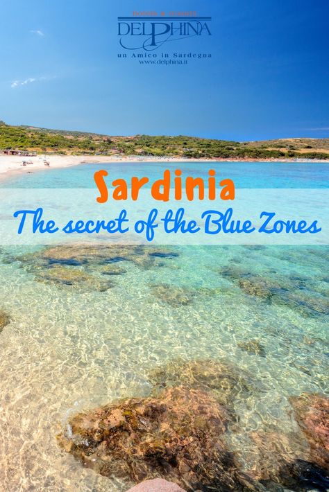 Blue Zones Diet, Blue Zones Recipes, Greek Blue, Blue Zone, Island Life Style, Sardinia Italy, Blue Zones, The Lifestyle, Sardinia