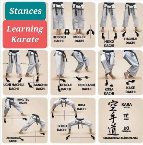 Karate Poses, Karate Techniques, Shotokan Karate Kata, Japanese Karate, Aikido Martial Arts, Martial Arts Books, Karate Kata, Karate Dojo, Kids Karate