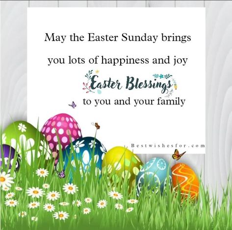 Happy Easter Wishes For Family and Friends Easter Card Messages, Easter Wishes Messages, Lawn Flowers, Happy Easter Messages, Happy Easter Quotes, Easter Prayers, Sunday Wishes, Happy Easter Greetings, Easter Messages